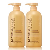 닥터방기원 데미지 케어 샴푸, 2개, 1000ml
