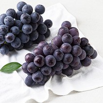 한반도 비파괴 당도선별 거봉, 1개, 1kg