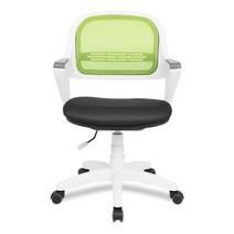 체어포커스 알라딘 메쉬 회전 의자 AL360-WH, 화이트(바디), 투톤그린(의자)