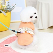 강아지 여아 힐리오 봄 여름 옷, 03 오렌지