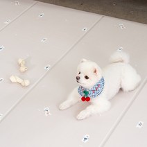 퍼핑 펫매트 폴딩형 5단, 포메라니안