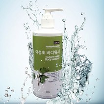 케이엔에이치 어성초 바디워시, 300g, 1개