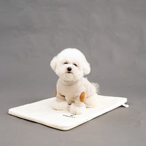레드퍼피 반려동물 켄넬 방수패드, 아이보리