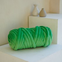 진심 자이언트얀 벨벳 뜨개실 1kg, 그린, 1개