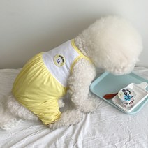 바이담수미 강아지 쿨데이 올인원, 옐로우