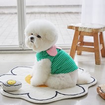 베니즈 반려동물 페어리 카라 티셔츠, 그린