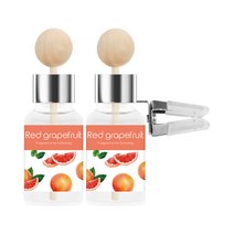 오도르 클립형 차량용 디퓨저 17ml, 2개, 레드자몽