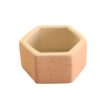 하로아 모아놓기 좋은 육각 다육 화분 물빠짐구멍 200g, 핑크