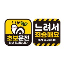 제제데코 초보운전 자동차 탈부착 정사각 자석 고휘도 반사 스티커 140 x 140 mm G140 GC019 + GC064 세트, 혼합색상, 1세트