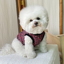 바이담수미 반려동물 할매 조끼, 블랙