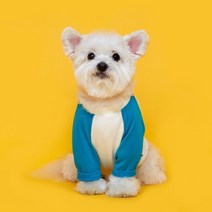 플로트 강아지 베이직 마카롱 티셔츠, 그린