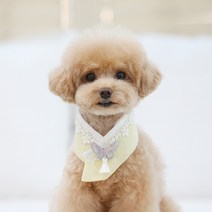 리토가토 반려동물 미르 한복 케이프 L, 노랑, 1개