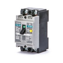 산업용 누전차단기 CGE-52C 50A, 1개