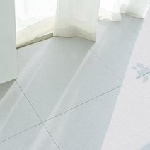 알집매트 TPU 시공 매트 센터, 데일리러그, 4개