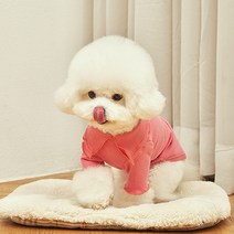 쁘띠도그 샤인프릴티 DT052, 핑크