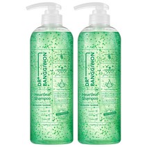 닥터방기원 어성초 민감두피 캡슐 탈모방지샴푸, 740ml, 2개