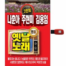 3인의 옛날노래 나훈아 주현미 김용임, 1USB