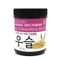 퓨어영 우슬 분말 가루 쇠무릎뿌리, 350g, 1개