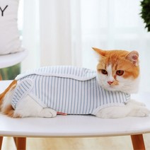 고양이 환묘복, 스카이블루