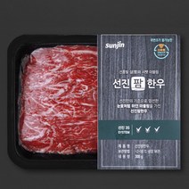 선진팜한우 정육 1등급 불고기용 (냉장), 300g, 1개