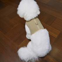 디자인사노 반려동물 바디핏 이지핏 코듀로이 모던 하네스, 베이지