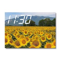 홈마인 캔버스 프린팅 액자 시리즈 LED 시계 해바라기 풍경 A3, 9