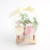 파티해 조화 DIY 플라워 용돈 선물세트 소, 카네이션(조화), 엄마딸(스티커)