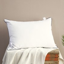 아임리빙 중량업 블랙라인 호텔용 마이크로필에버 베개솜 지퍼형, 화이트