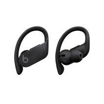 Apple Powerbeats Pro Totally Wireless 블루투스 이어폰, 블랙, MY582ZP/A