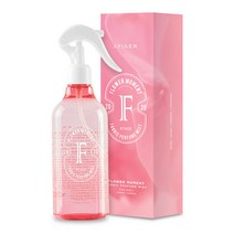 에티에르 섬유탈취제 플라워모먼트향 본품, 300ml, 1개