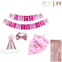 미니띠네 반려동물 생일파티세트 핑크, 혼합색상, 1개