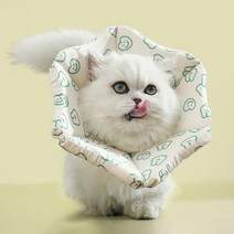파스텔펫 반려동물 패턴 웨이브 넥카라, 그린