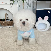 바이담수미 강아지 하트카라 잠옷, 블루