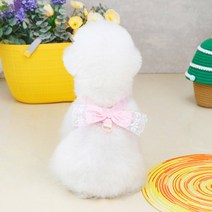 딩동펫 강아지 지젤 레이스 리본 하네스, 핑크