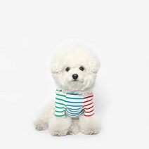 투스투스 강아지 컬러블럭 스트라이프 티셔츠, 블루