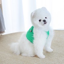에이미러브즈펫 강아지 꽈배기 니트 크롭 나시, 그린