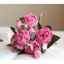 소니오 모란 5송이 조화 장식용 꽃송이, 06 샌드크림슨