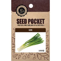 월드가드닝 정원 텃밭 좋은 씨앗 대파, 1개