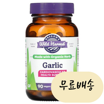 [미국타블렛품 100%보장] 마늘 베지 타블렛 90타블렛 빠른직구 OWH00032, 1개, 90개