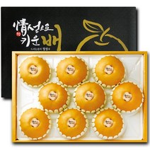 [정성으로키운배] 명품 나주배 선물세트 신고배 제수용 가정용 과일 배 설 추석 명절 선물용 5kg 7.5kg 15kg, 06. 15kg 16~20과 내외 (선물세트)