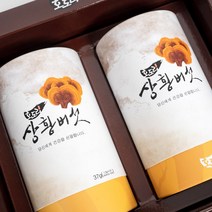 혈액순환에 좋은 장수 상황버섯 물 상황버섯 차