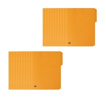 희망화일 황화일, 황색, 20개입