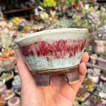 예운분: 둥근 정사각분 소, 08.흰색