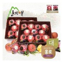 산지애 2023년 햇사과 홍로 6kg (3kg*2박스) / 대과