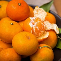 제주 하우스 감귤, 2.5kg 소과(2S), 1개