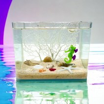타이니 레이아웃 원더랜드 어항세트 20p
