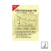 정음사 더 예민한 갑오징어 가지줄 C 30cm, 1개