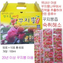 꾸지뽕즙 구지뽕즙 야생 꾸지뽕추출액 100% 증류수 숙취해소 100ml 60포, 꾸지뽕즙 60포 1박스