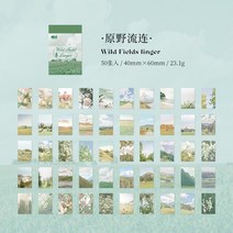 다꾸 Shanbu-로맨스 오브 라이트 스티커 아트지 치아 라인 압력 데코 일기 콜라주 배경 DIY 스크랩북 50 장, [06] F
