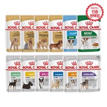 로얄캐닌 독 미니어덜트 퍼피 파우치 견종별사료 기능성사료 파우치 85g, 포메라니안 어덜트 파우치